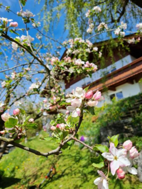 Appartement Mountains and More, Niederndorf